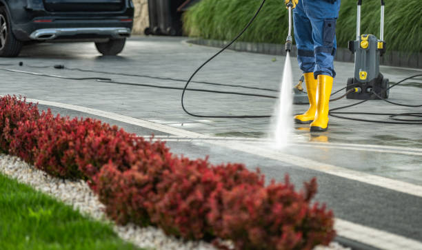 Best House Exterior Washing  in The Colony, TX